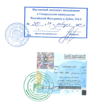 commercial-mofa-attestation-for-uae